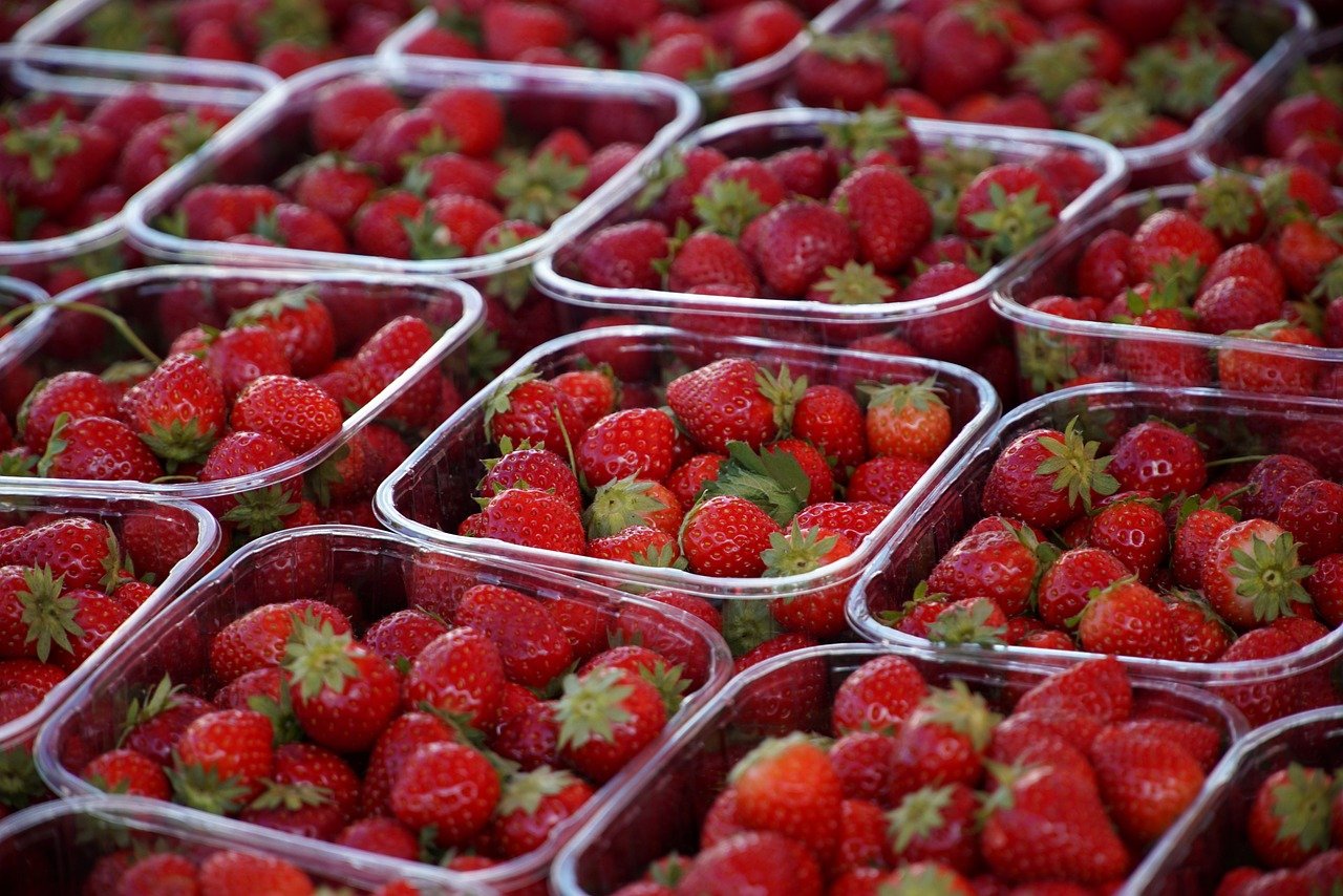 Cómo Ganar Dinero con el Cultivo de Fresas