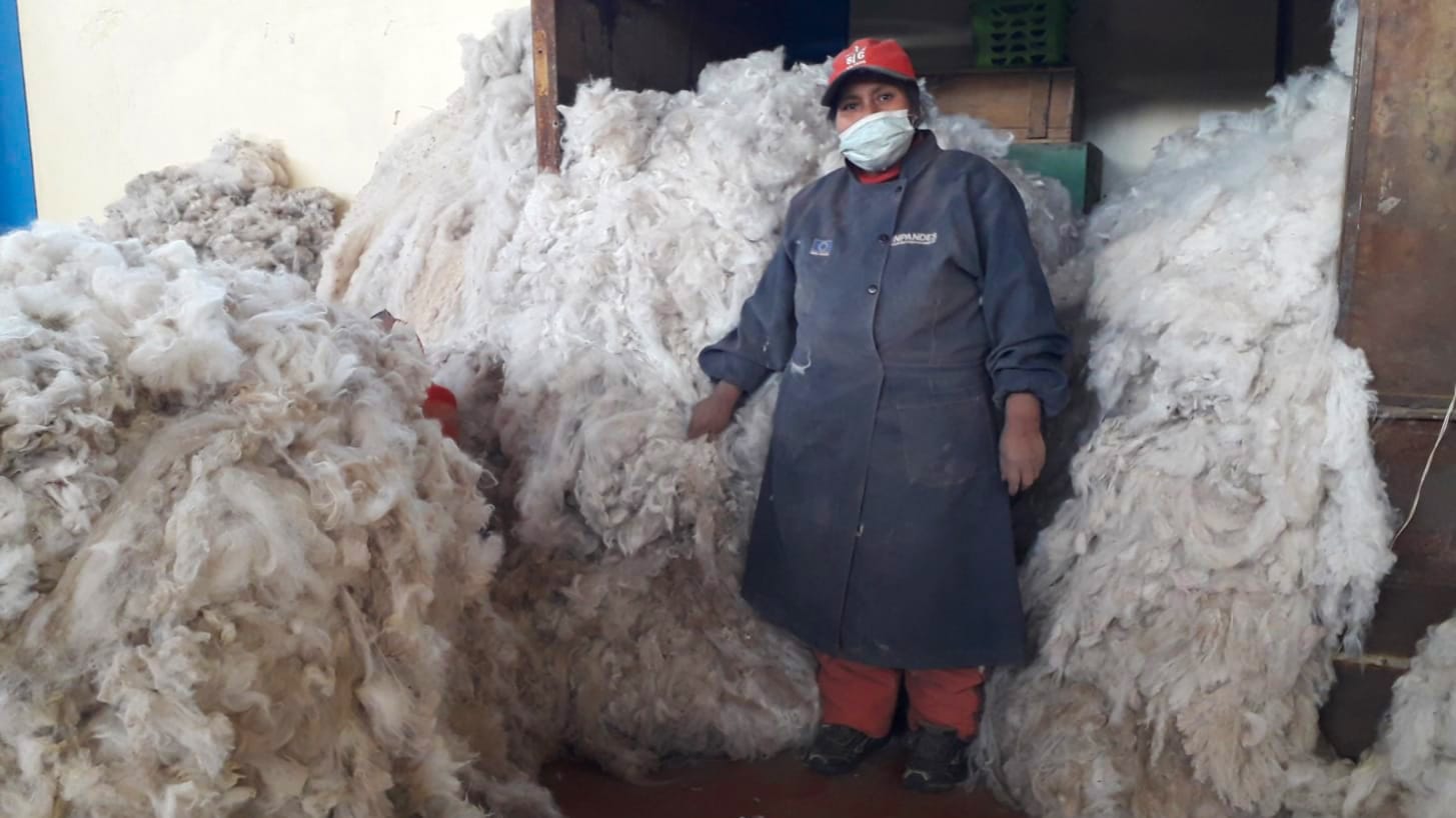 Precios de la Fibra de Alpaca en Perú
