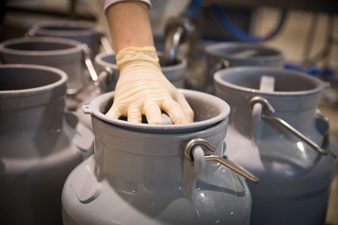 Principales Problemas de la Leche