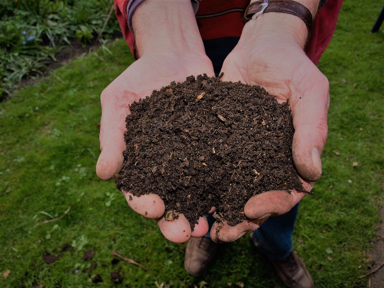 Cómo hacer compost Guía práctica y beneficios clave