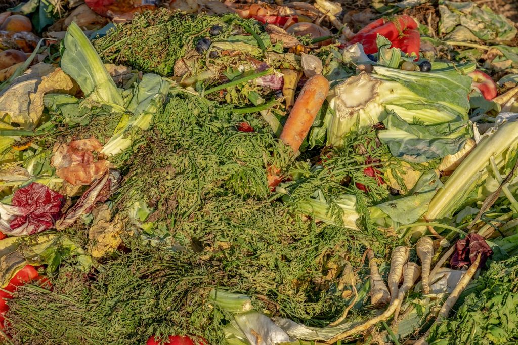 Materiales verdes listos para hacer compost restos de frutas y verduras