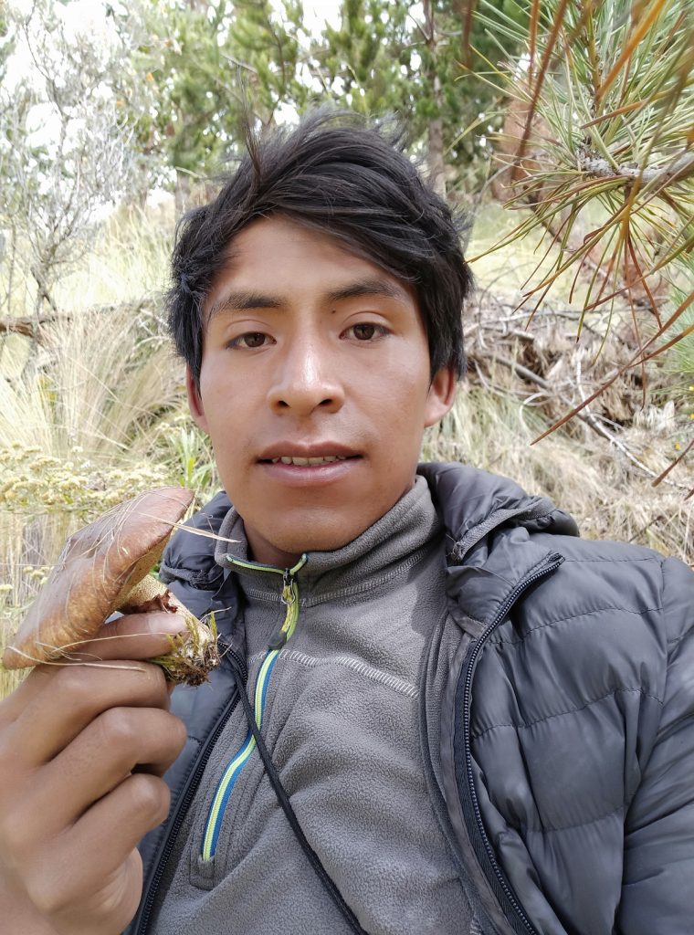 Beneficios Económicos y Sociales del Suillus luteus