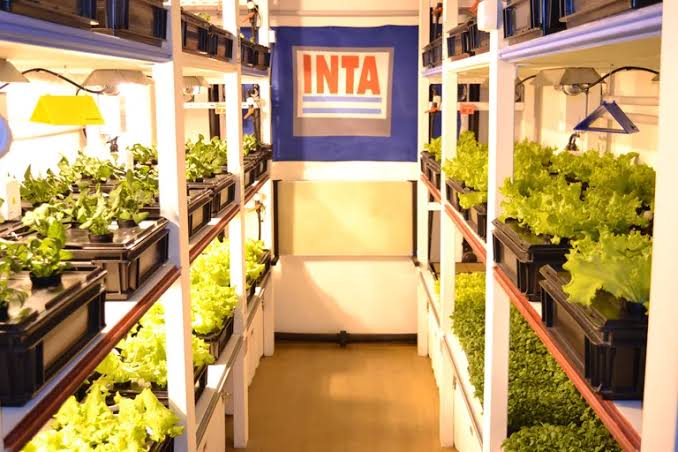 Por qué producir en la Antártida