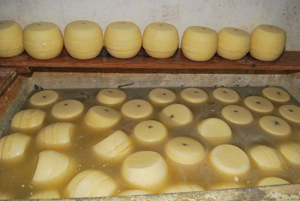 Cálculo de Salmuera para Quesos