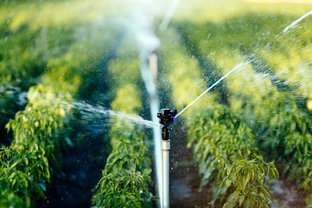 Tipos de Aspersores para Agricultura