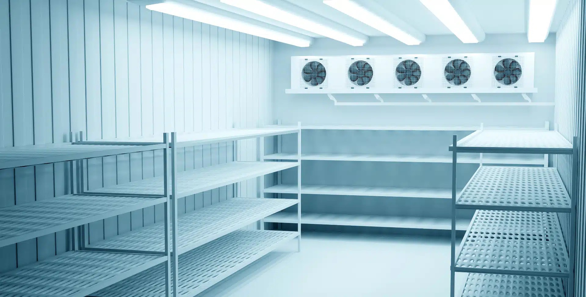 Cámaras de Frío para Exportación Agrícola