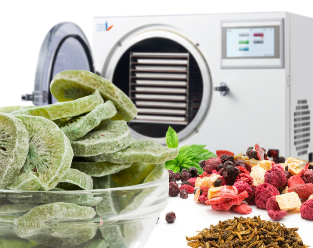 Proceso de liofilización de alimentos en equipo industrial