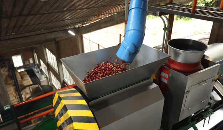Equipos para procesar frutas