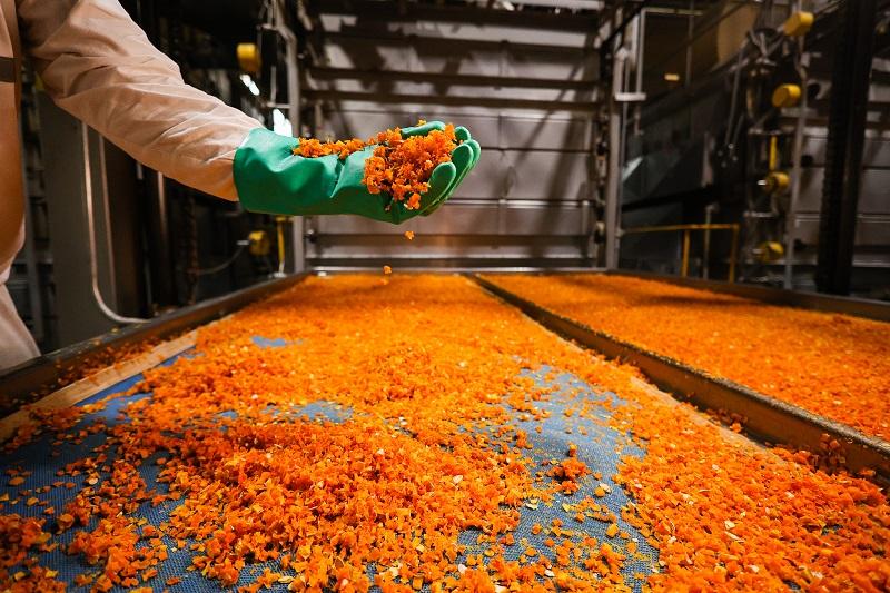 Manual para montar una línea de deshidratados desde cero