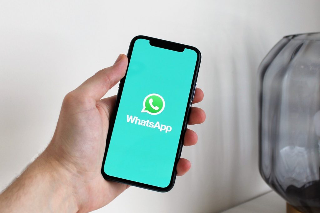WhatsApp Business para vender productos del campo