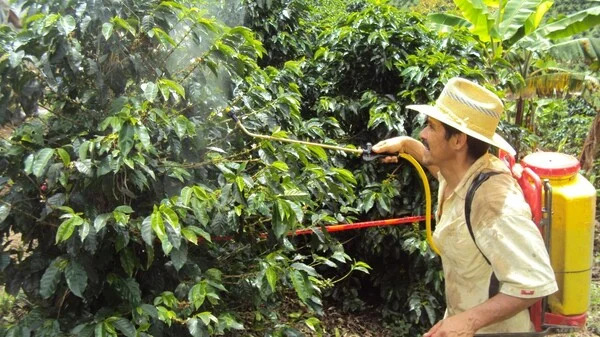 Fertilizantes foliares