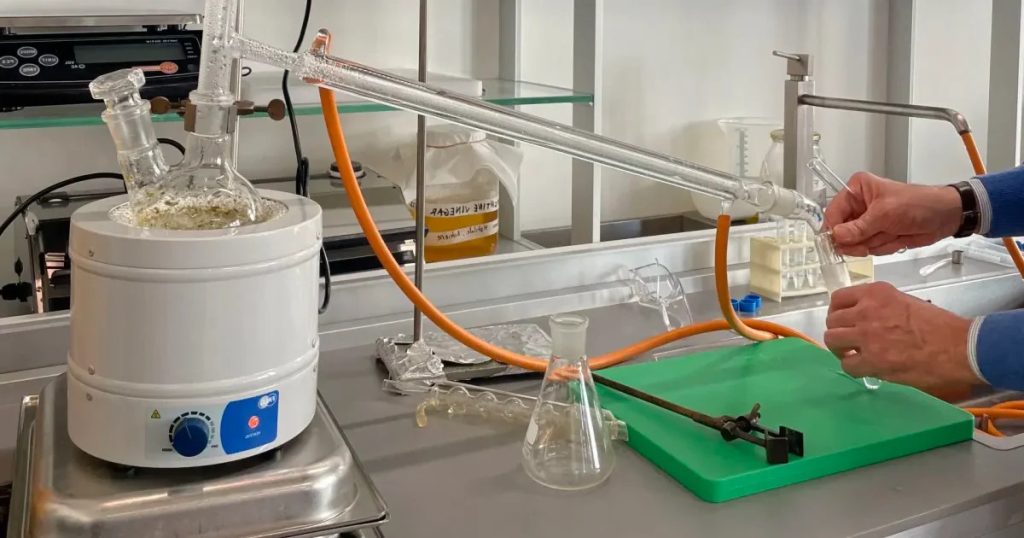 Aceite esencial por destilación con vapor de agua Aceite esencial por destilación con vapor de agua