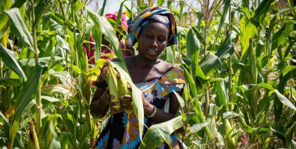 África y su potencial agrícola
