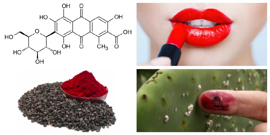 Cochinilla en la Industria cosmética