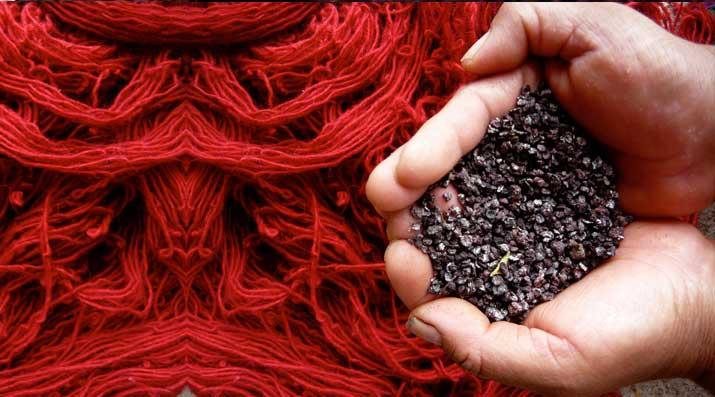 Cochinilla en la Industria textil