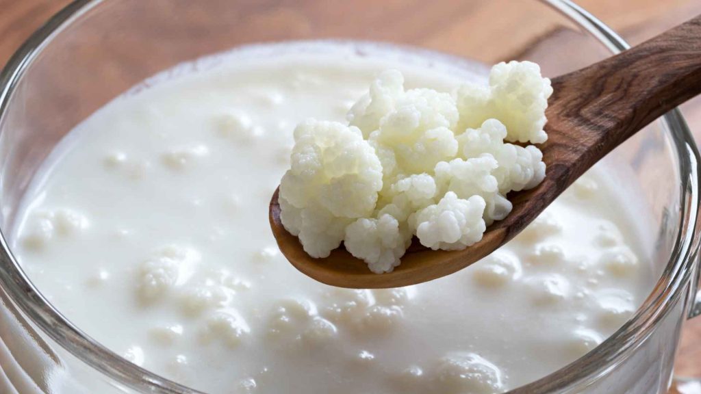 Cómo hacer kéfir de leche paso a paso
