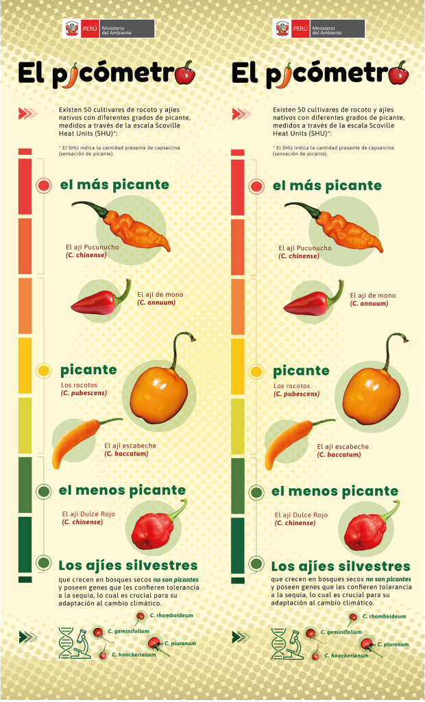 El picómetro de MINAM