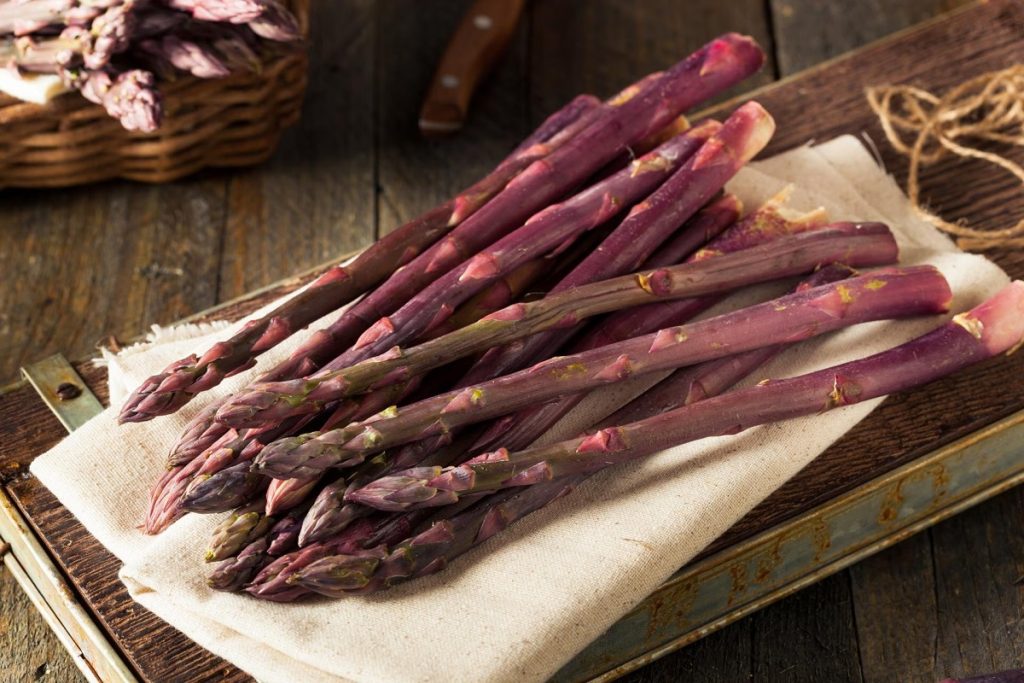 Espárrago morado