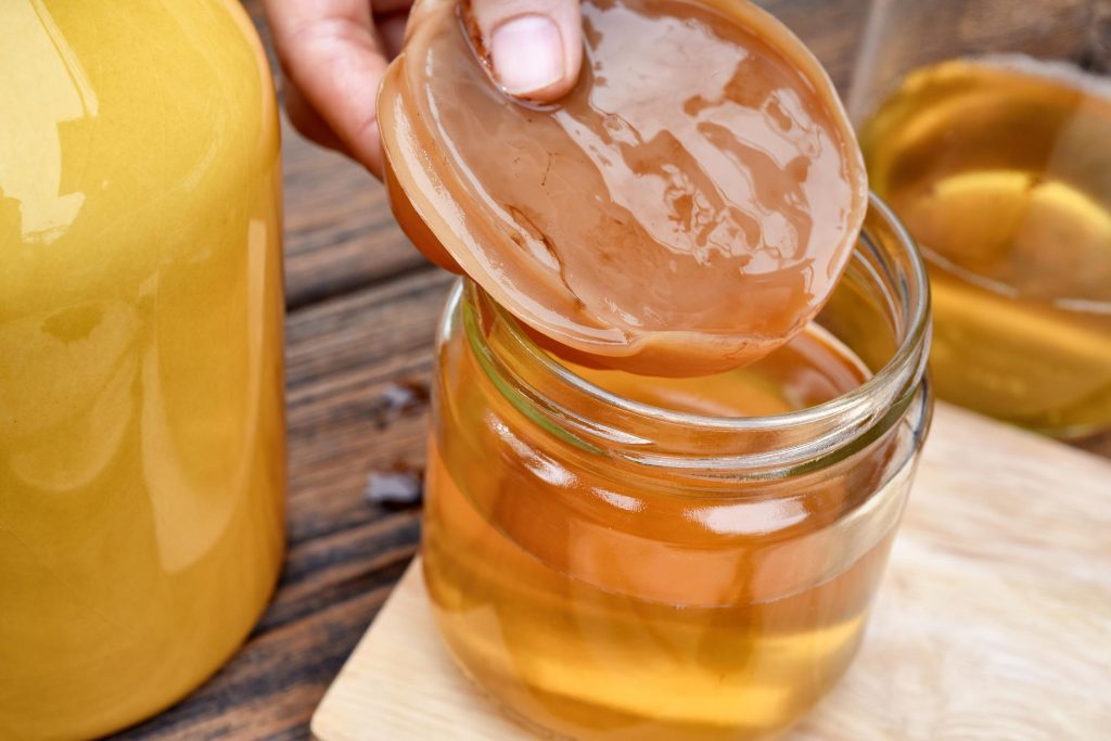 Hongo kombucha
