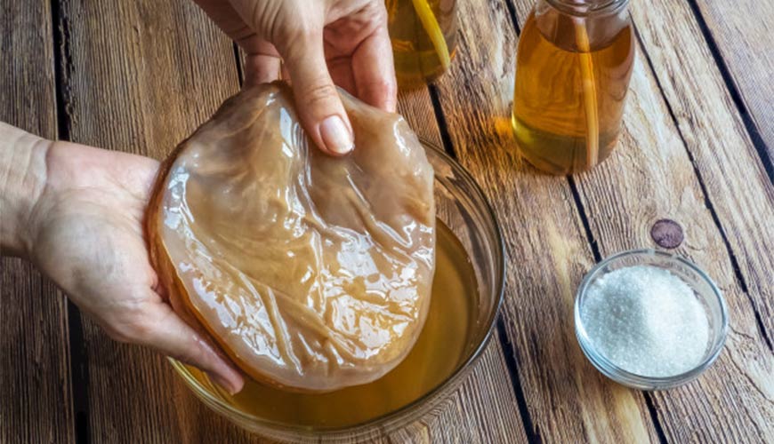 Qué es el hongo kombucha