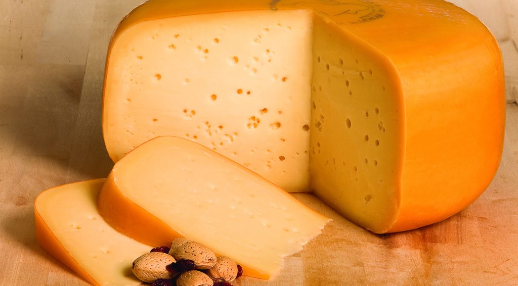 Queso Gouda