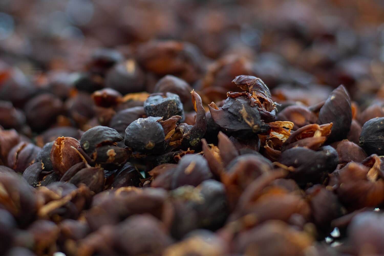 Una segunda vida para el café