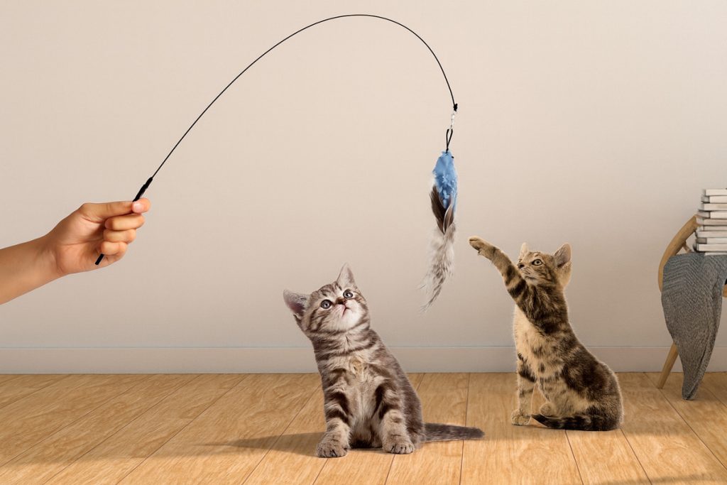 Juguetes tipo caña o varilla para gatos Juguetes tipo caña o varilla para gatos