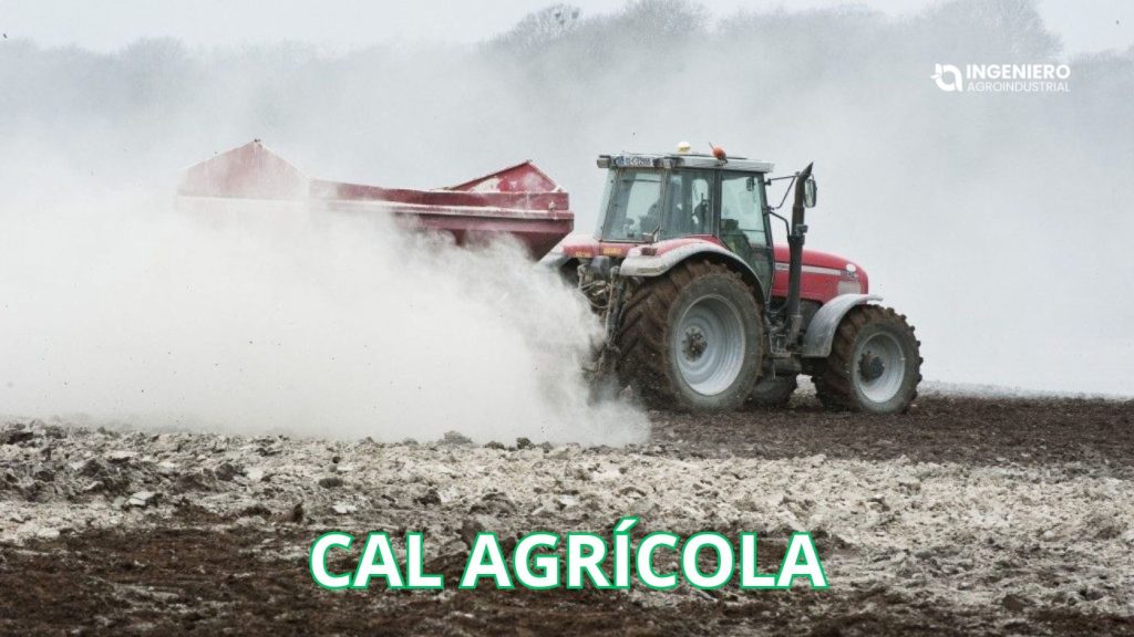 Qué es la cal agrícola Qué es la cal agrícola