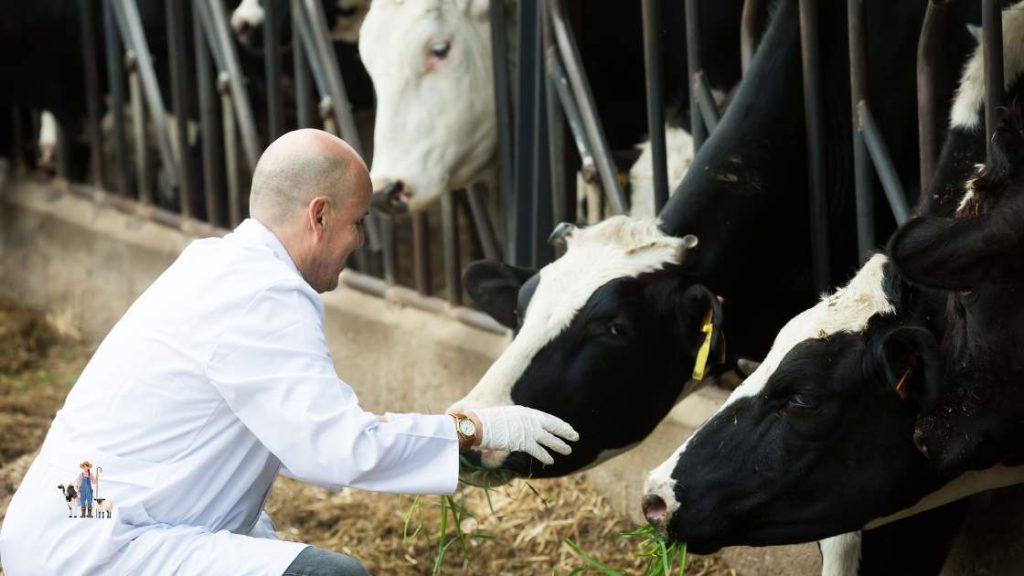 Alimentación básica del ganado