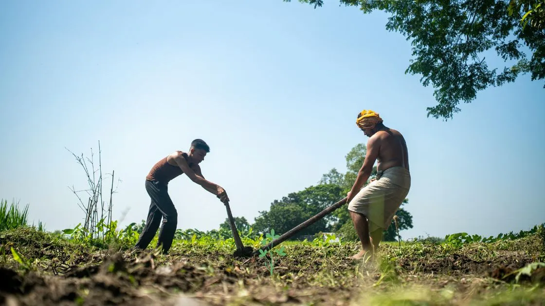 Beneficios de la agricultura sostenible para pequeños productores