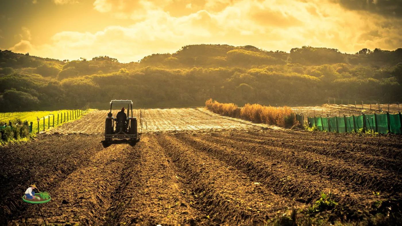Cómo mejorar el suelo de forma sostenible en la agricultura