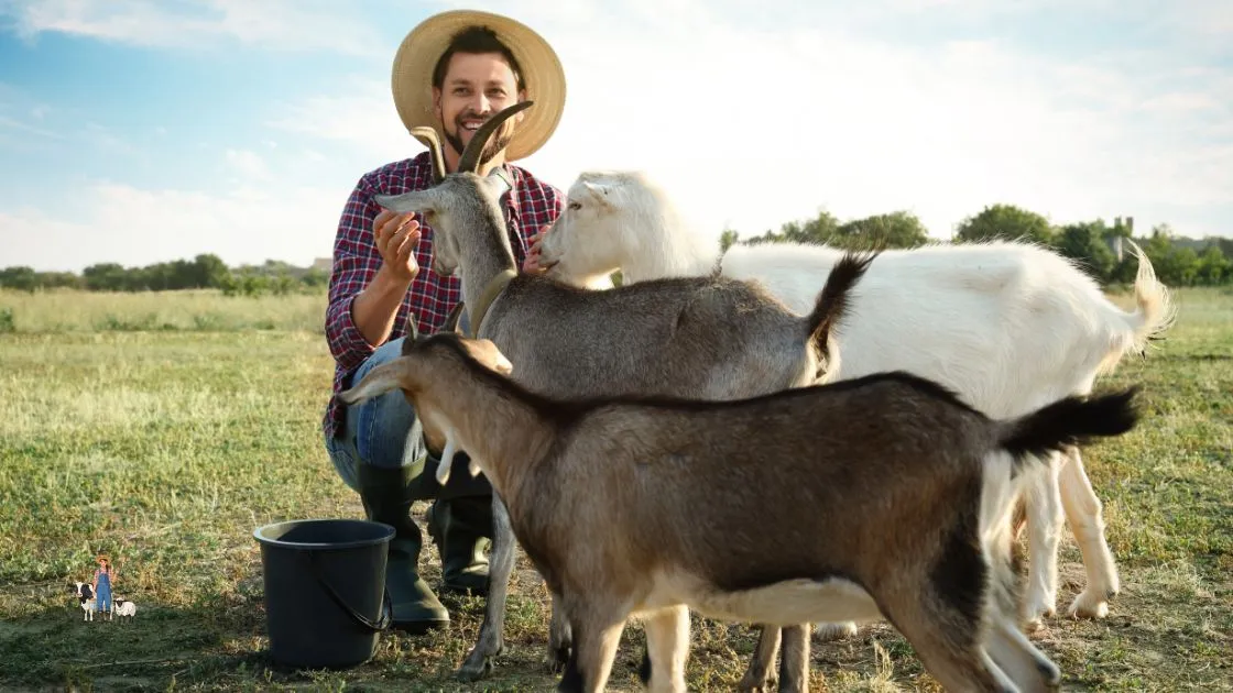 Producción animal sostenible