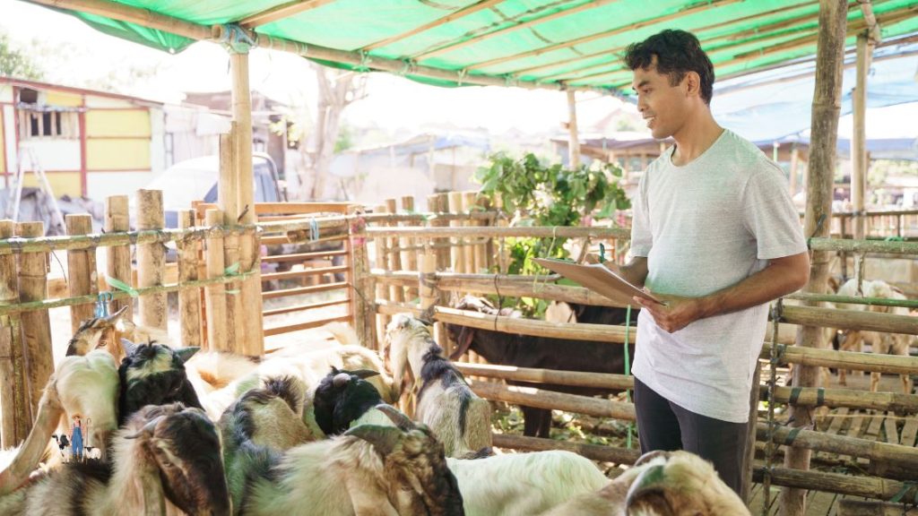 Tipos de ganadería en Perú